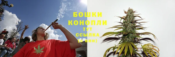 соль ск Балабаново
