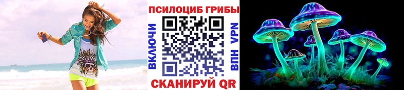 Галлюциногенные грибы прущие грибы  Краснообск 